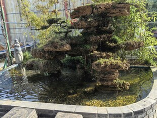 庭院假山景观池