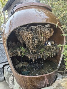 陶罐中生长的绿植景观