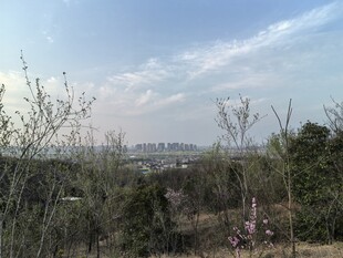 郊外自然风景远景图