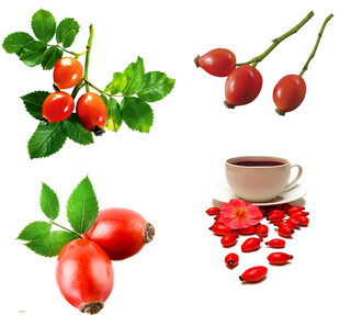 玫瑰果及其制品展示