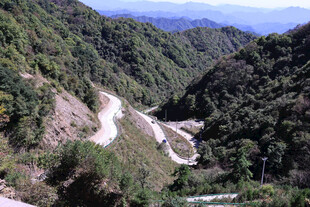 蜿蜒山路穿梭于翠绿山间