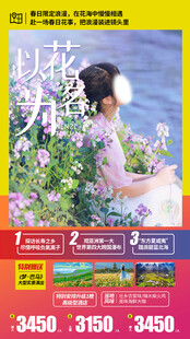 赏花旅游海报