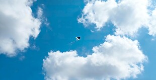 蓝天飘白云飞机掠空过