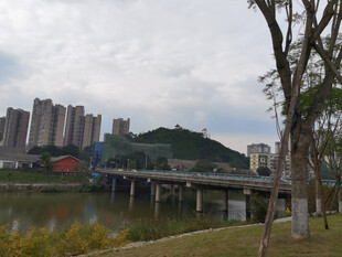 城市河畔风景桥景