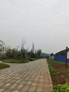 户外砖石步道旁绿植景观