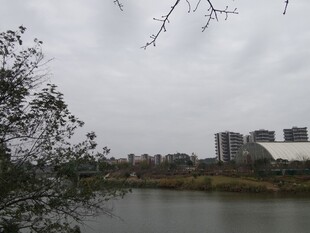 河畔城市景观远景