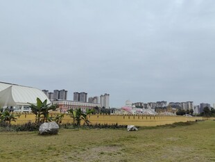 城郊开阔地与远处建筑群