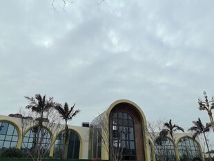 现代风格建筑与棕榈树景观