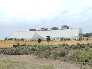郊外大型白色建筑与草地
