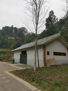 乡村路旁的白色单层小屋