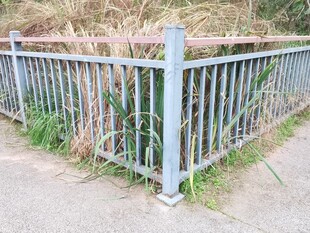 户外灰色金属护栏