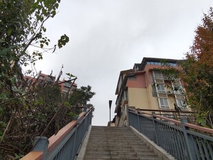 蜿蜒石阶旁的多彩建筑