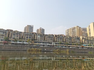 河畔城市建筑景观