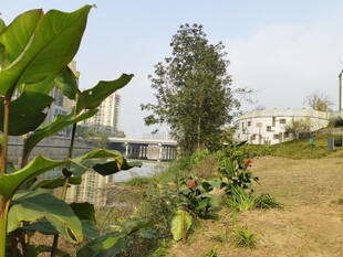 户外绿植与远处建筑景观