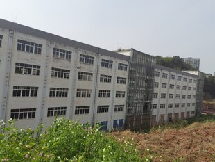 多层白色厂房建筑外观