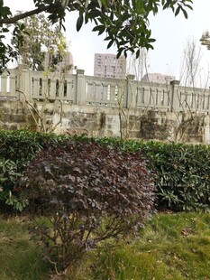 园林景致中的绿植与建筑