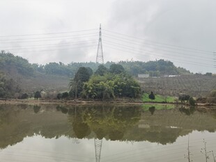 乡村湖畔风光