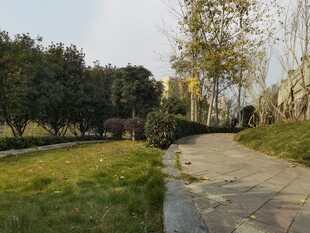公园中的幽静小路