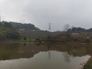 乡村宁静湖水风景图