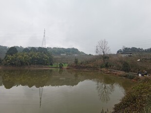 乡村静谧水塘风景