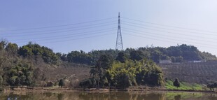 田野中的高耸通信塔