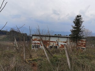 荒废野外的破旧建筑