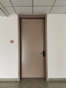 简约室内单扇木门场景