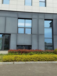 现代办公楼前的绿植景观
