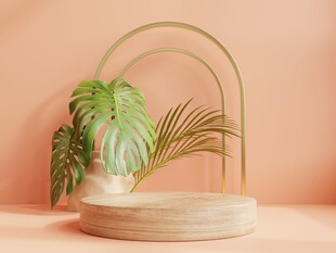 简约绿植装饰摆件展示