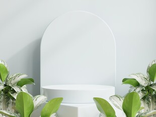 简约绿植环绕的白色展台
