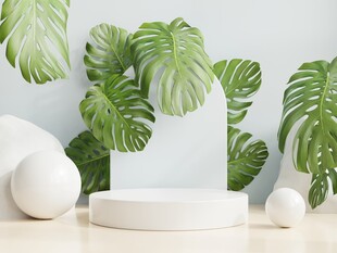 绿植装饰简约展示台场景