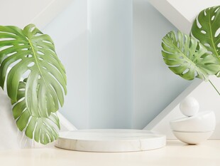 室内绿植装饰清新角落