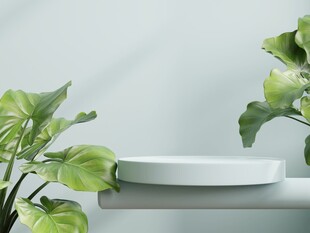 简约绿植旁的白色圆盘