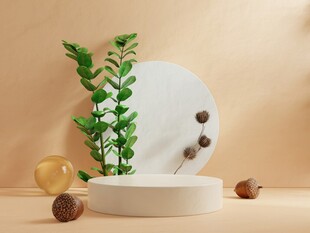 简约绿植摆件雅致小景