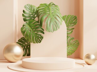 绿植装饰的简约展示台