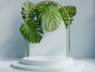 绿植装饰的白色展示台