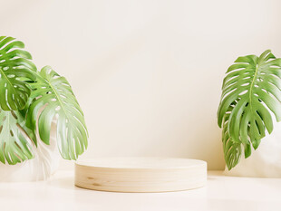 简约绿植与木质展示台