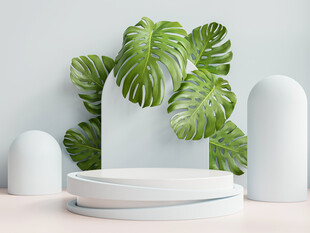 简约绿植展示台场景