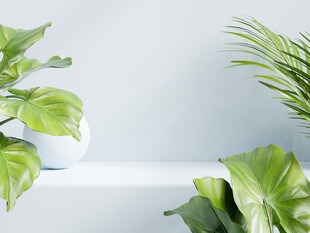 清新绿植装点简约空间