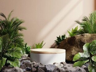 室内绿植环绕的简约花盆