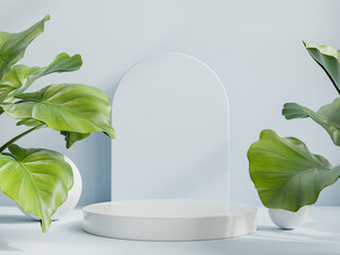 简约绿植摆件与白色器物