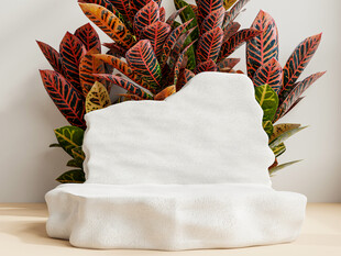 白色山石摆件植物相伴