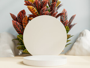 圆形空白展示台与多彩植物