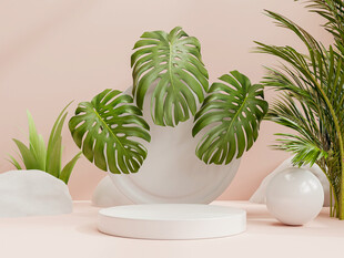 清新绿植装饰摆件组合