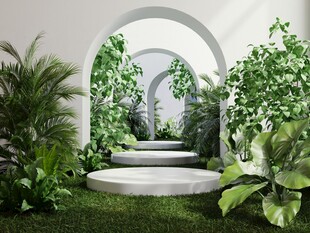 拱形绿植小径的自然景致