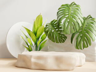 简约风室内绿植摆件展示