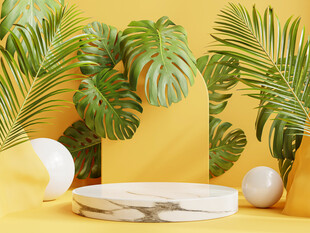 热带植物与简约摆件组合