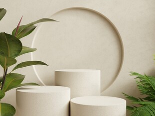 简约几何摆件与绿植搭配