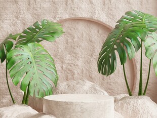 室内绿植装饰简约场景