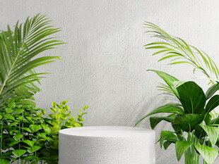 室内绿植与白色摆件组合